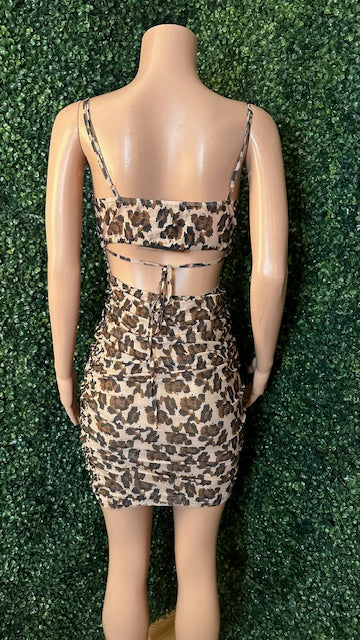 Caitan Leopard Dress